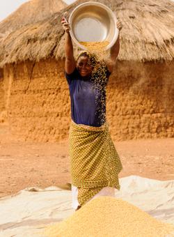 donna cesto di grano ghana