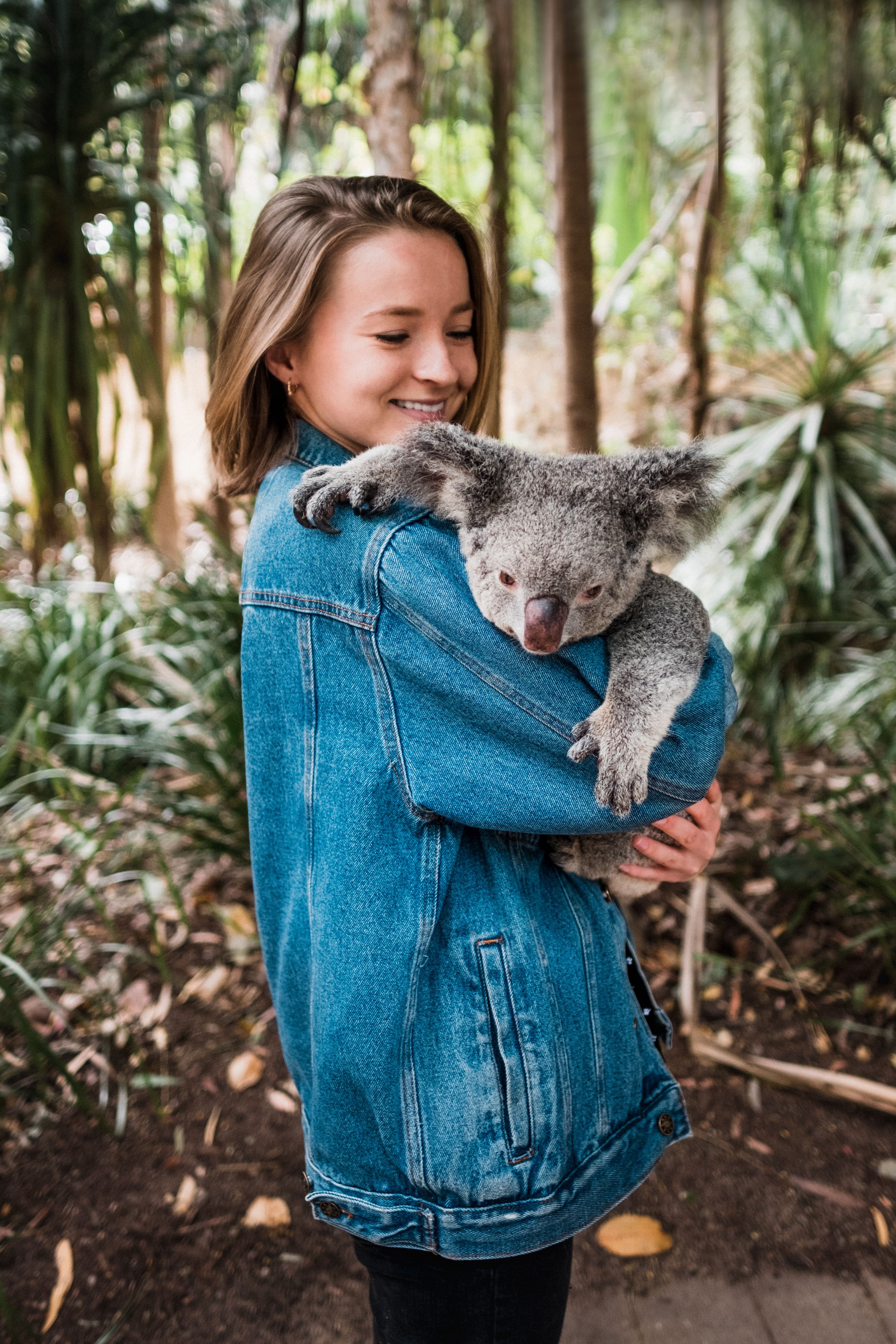 donna con in braccio koala in australia
