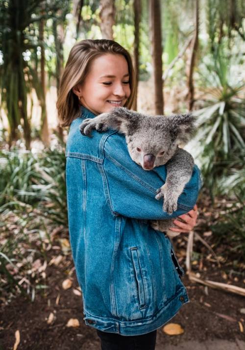 donna con in braccio koala in australia