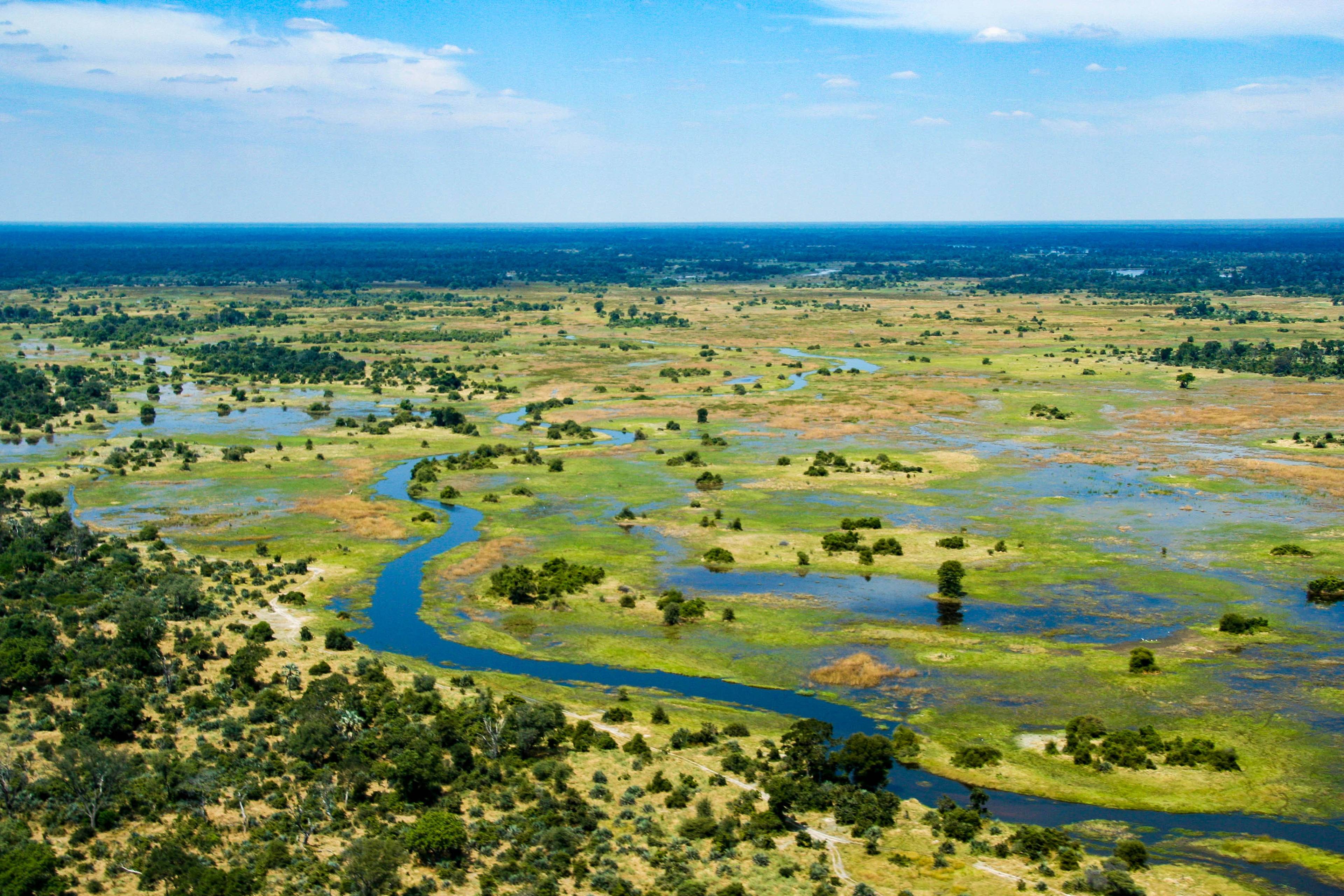 fiume okavango