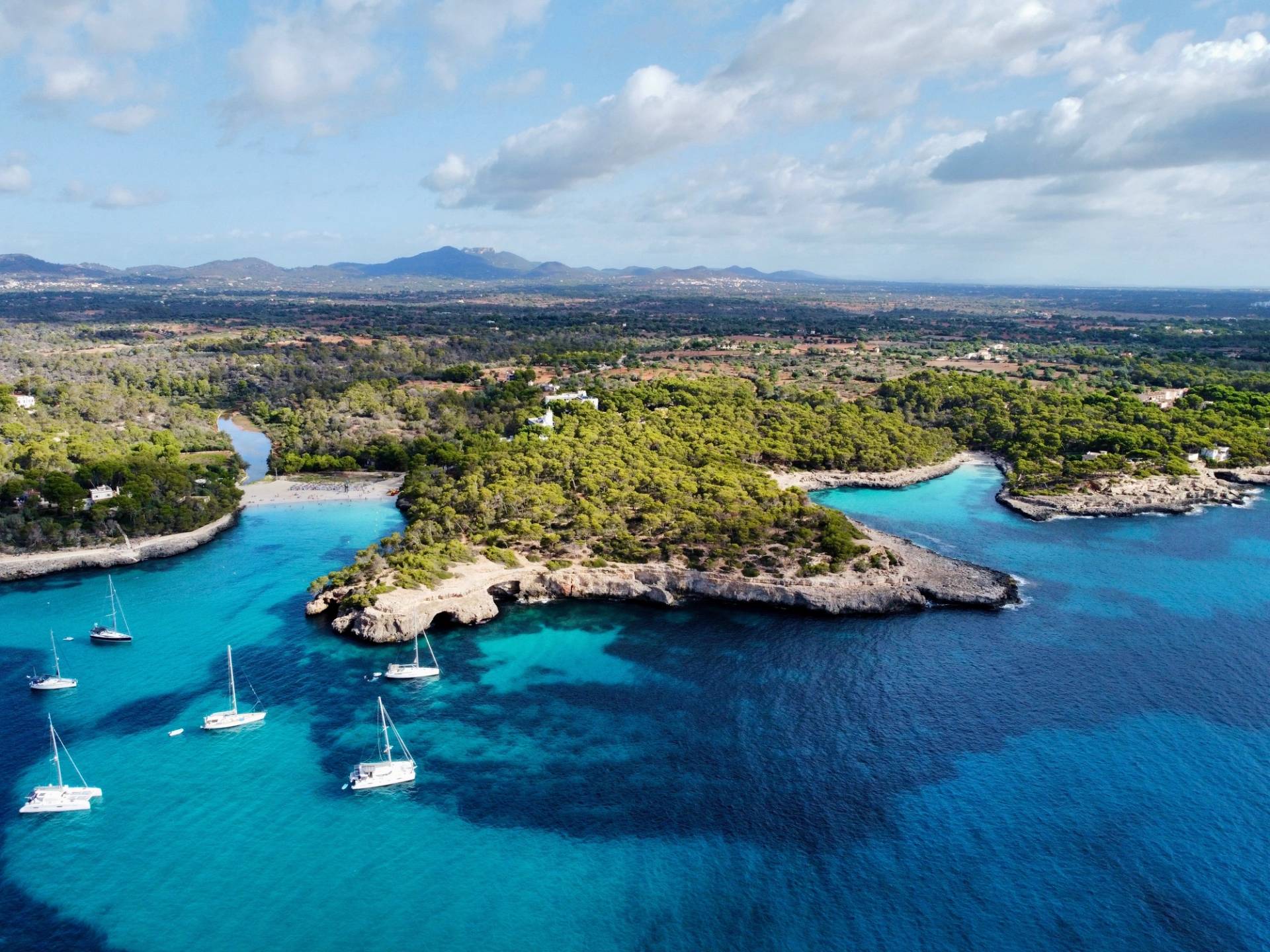 maiorca