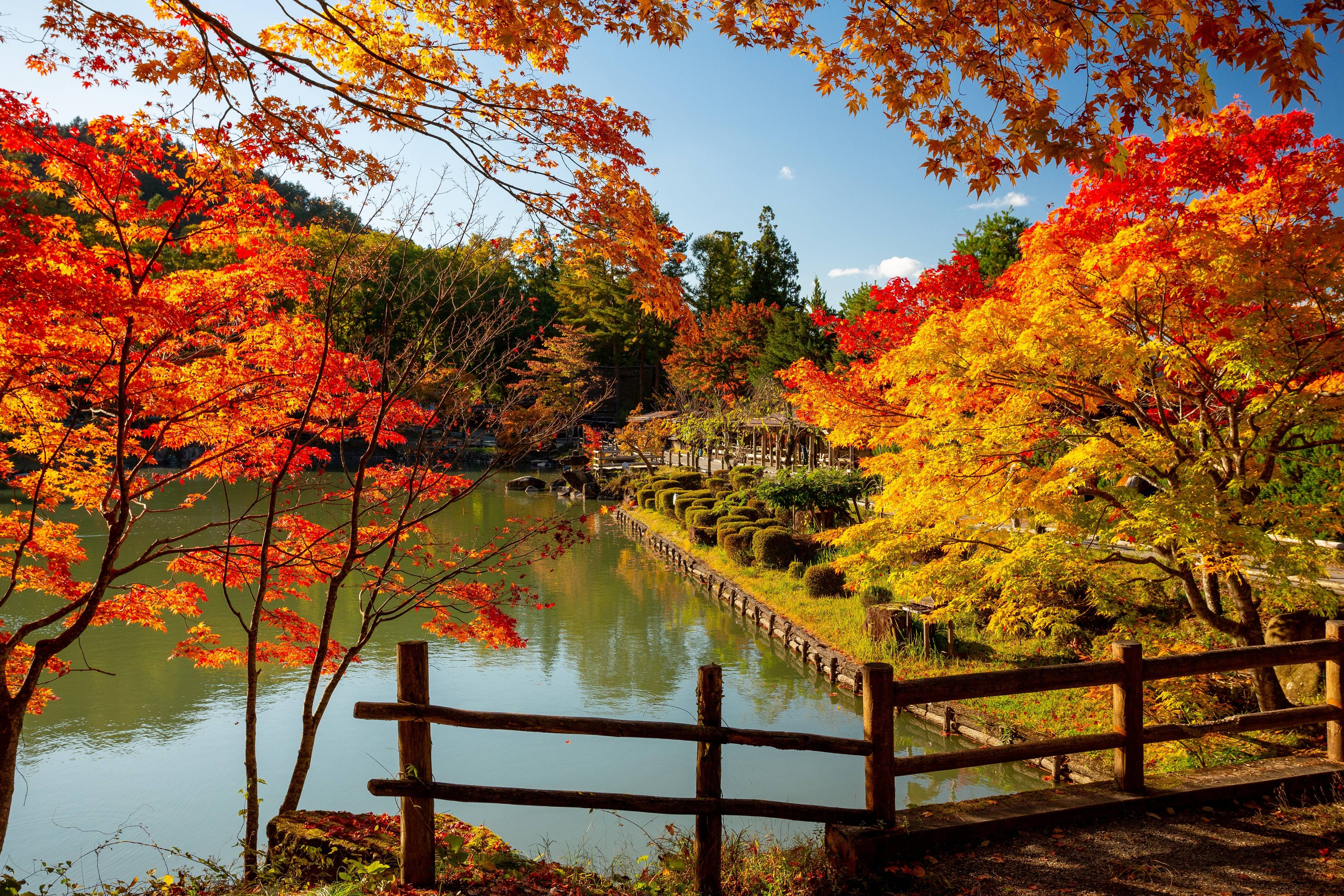 panorama di takayama in autunno