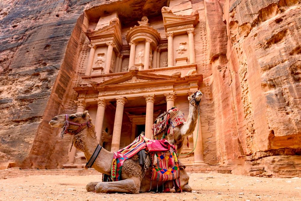 cammelli davanti al tesoro di petra giordania