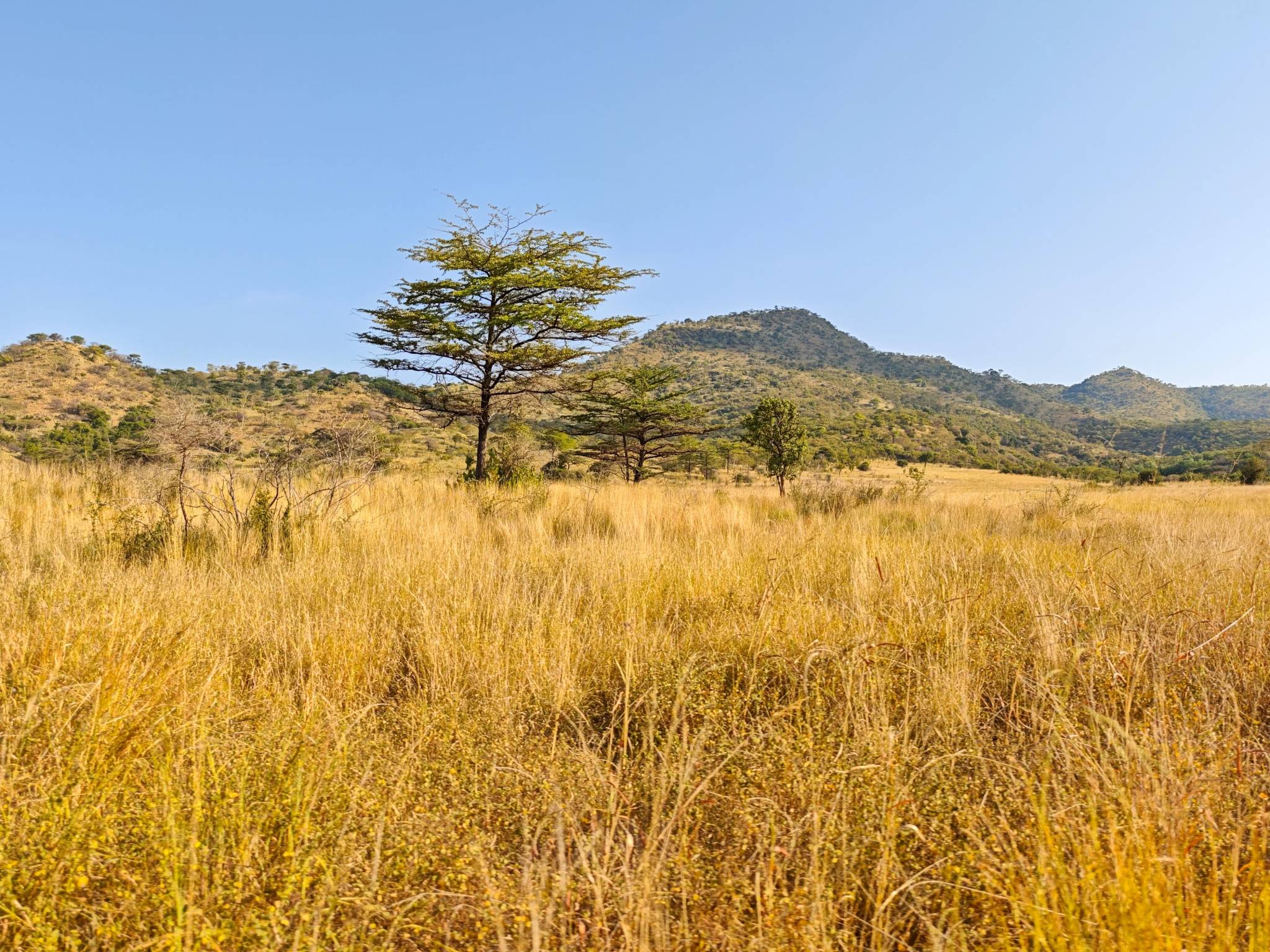 omo national park