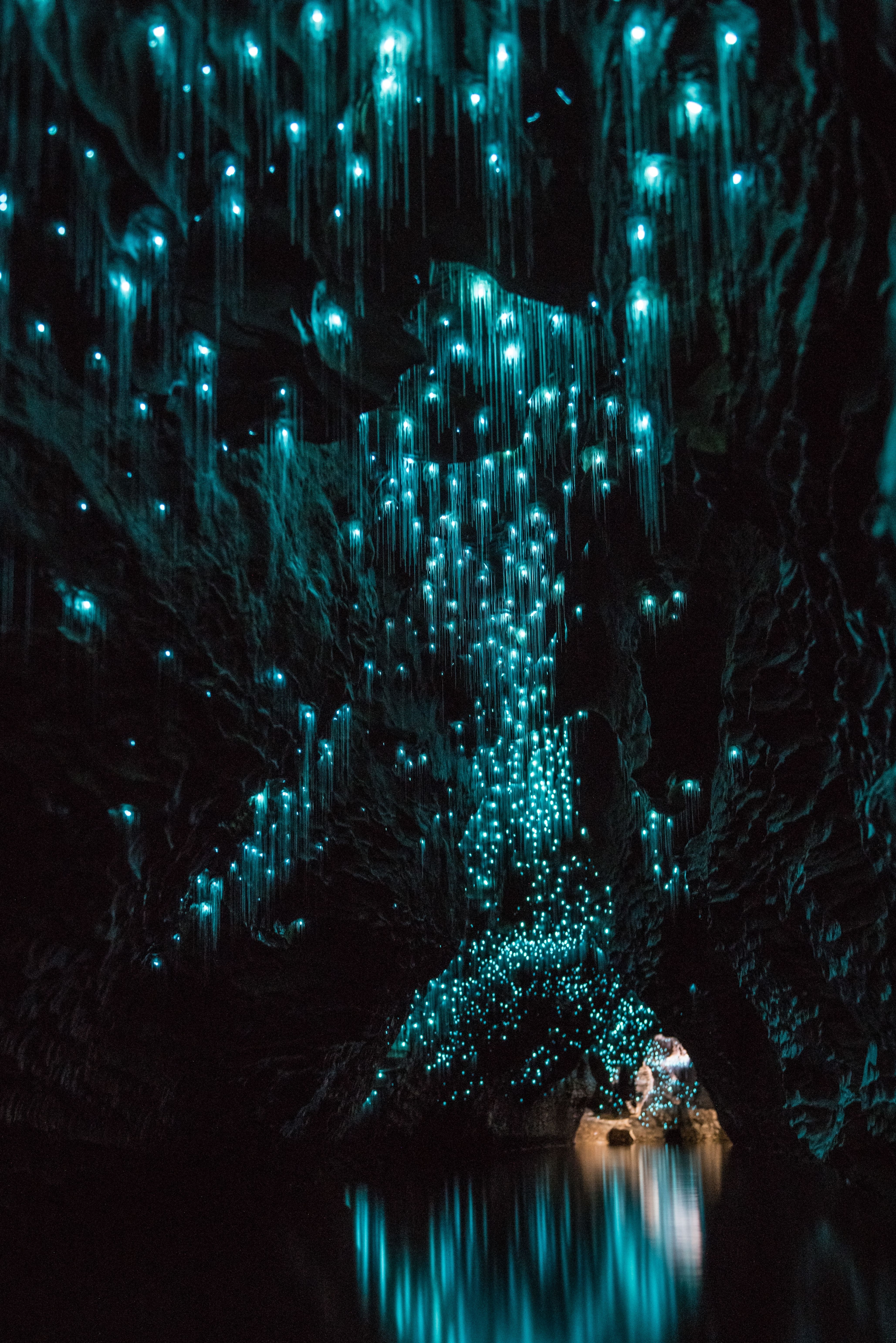 waitomo caves