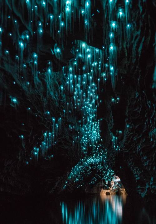 waitomo caves