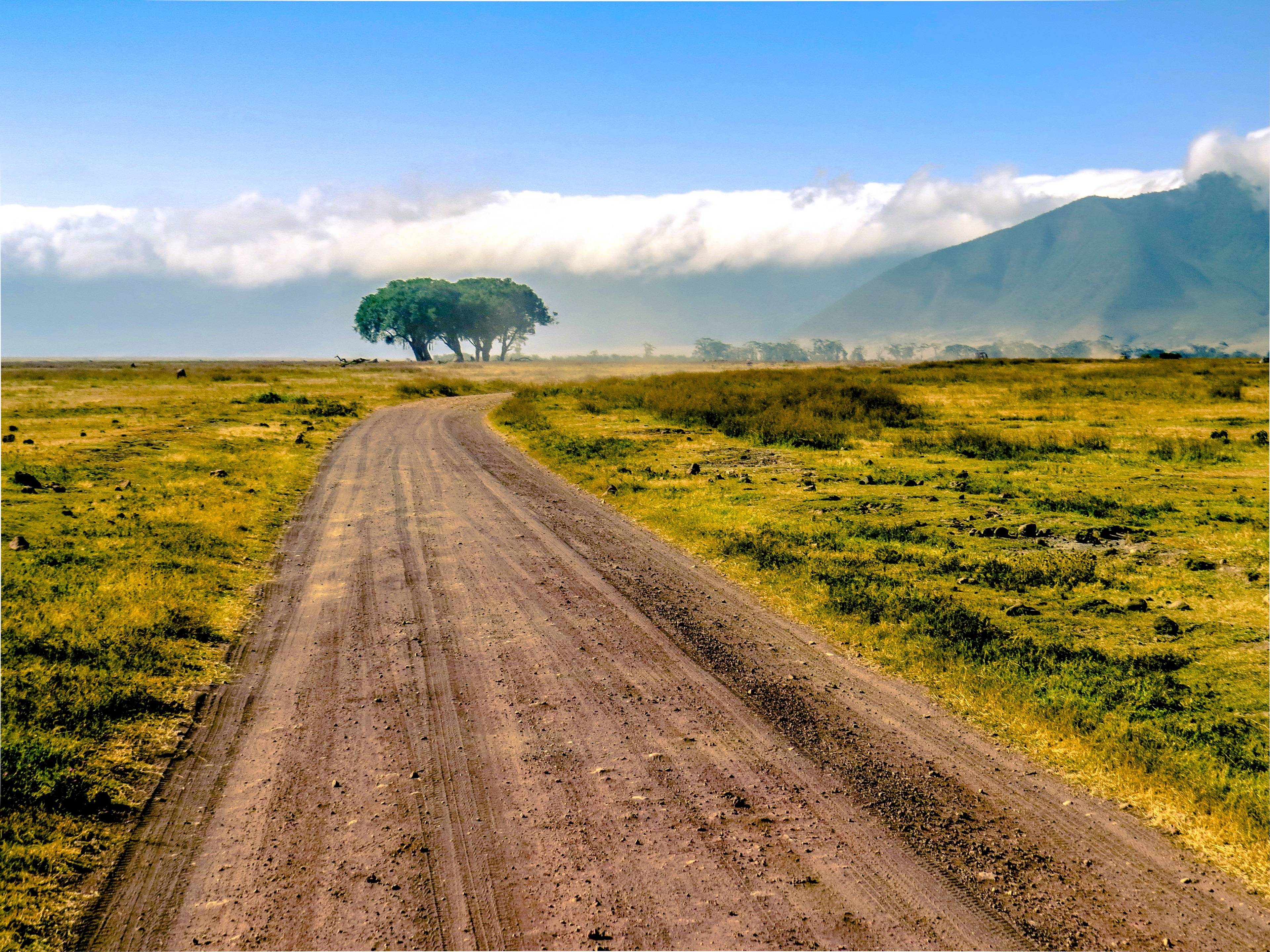 strada savana in tanzania