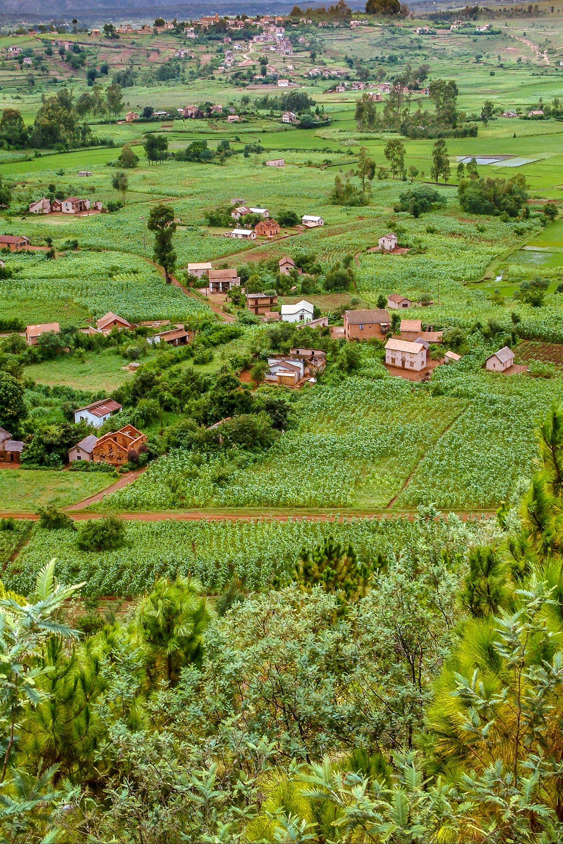 farm nei dintorni di antsirabe