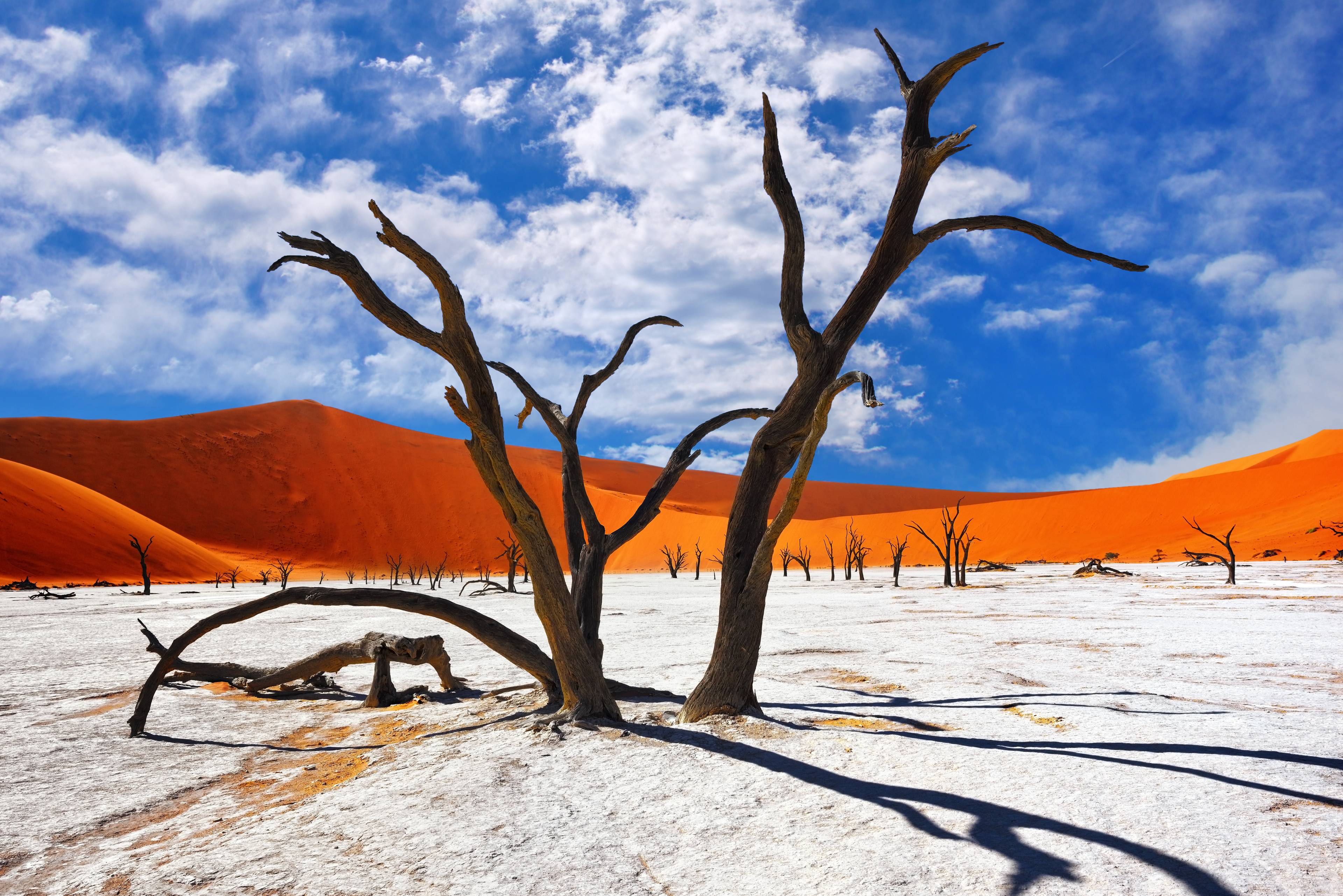deserto del namib