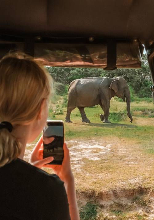 donna che fa un safari