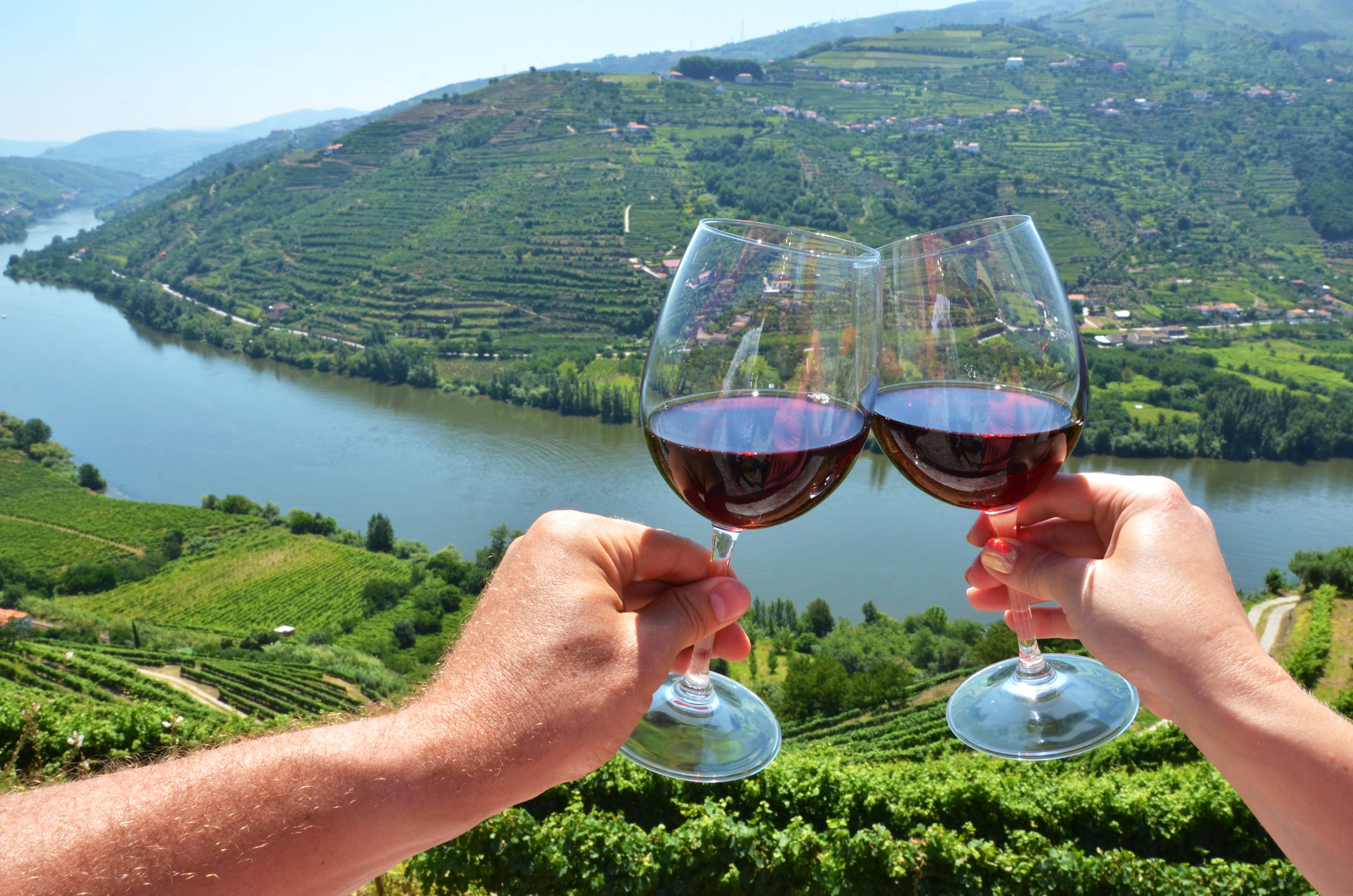 coppia brinda con calici di vino rosso nella valle del douro