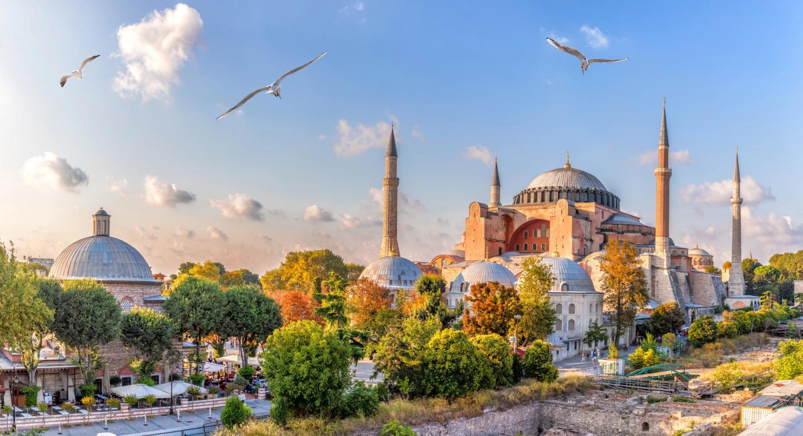 moschea di istanbul con gabbiani