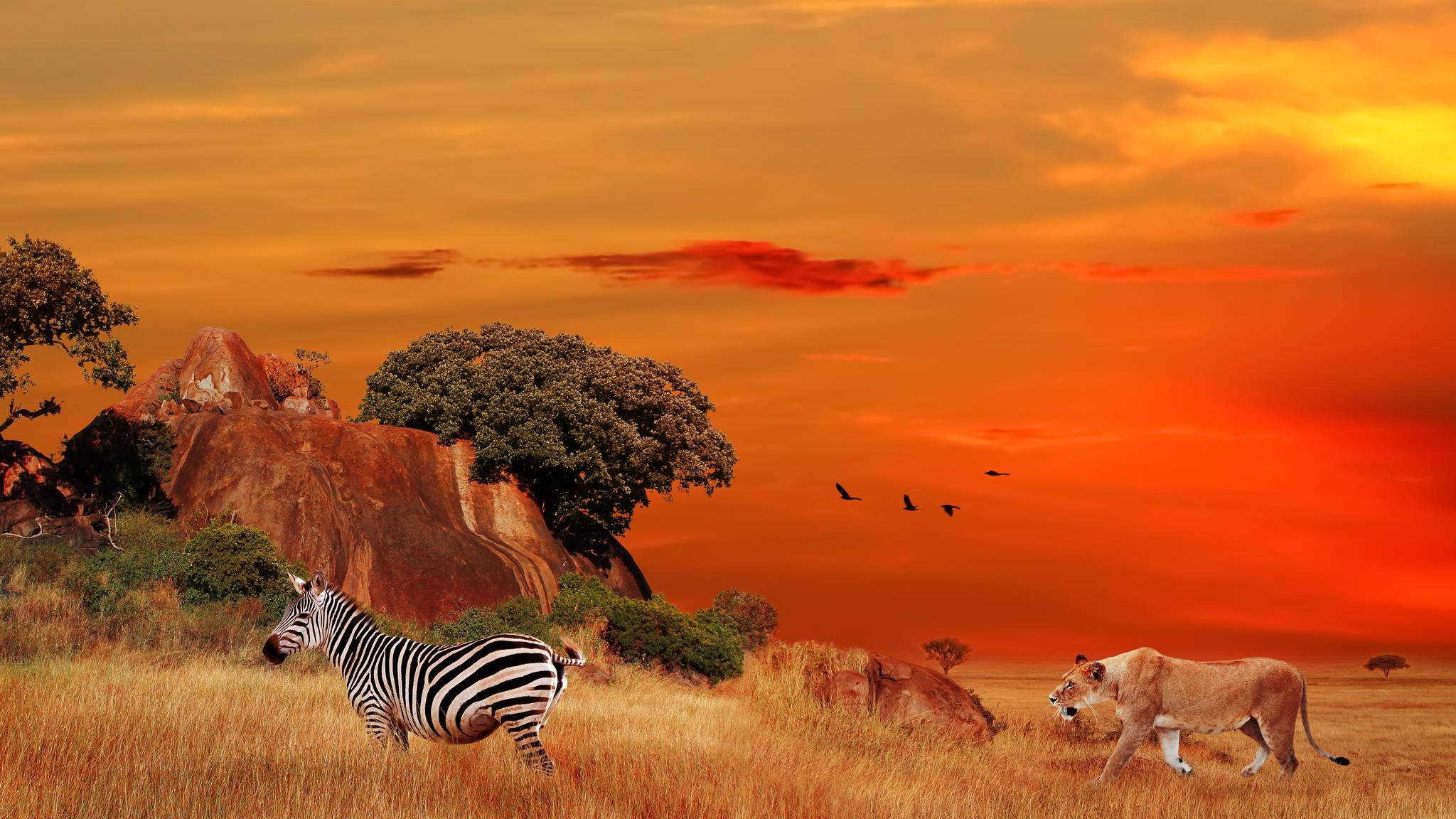 parco del serengeti