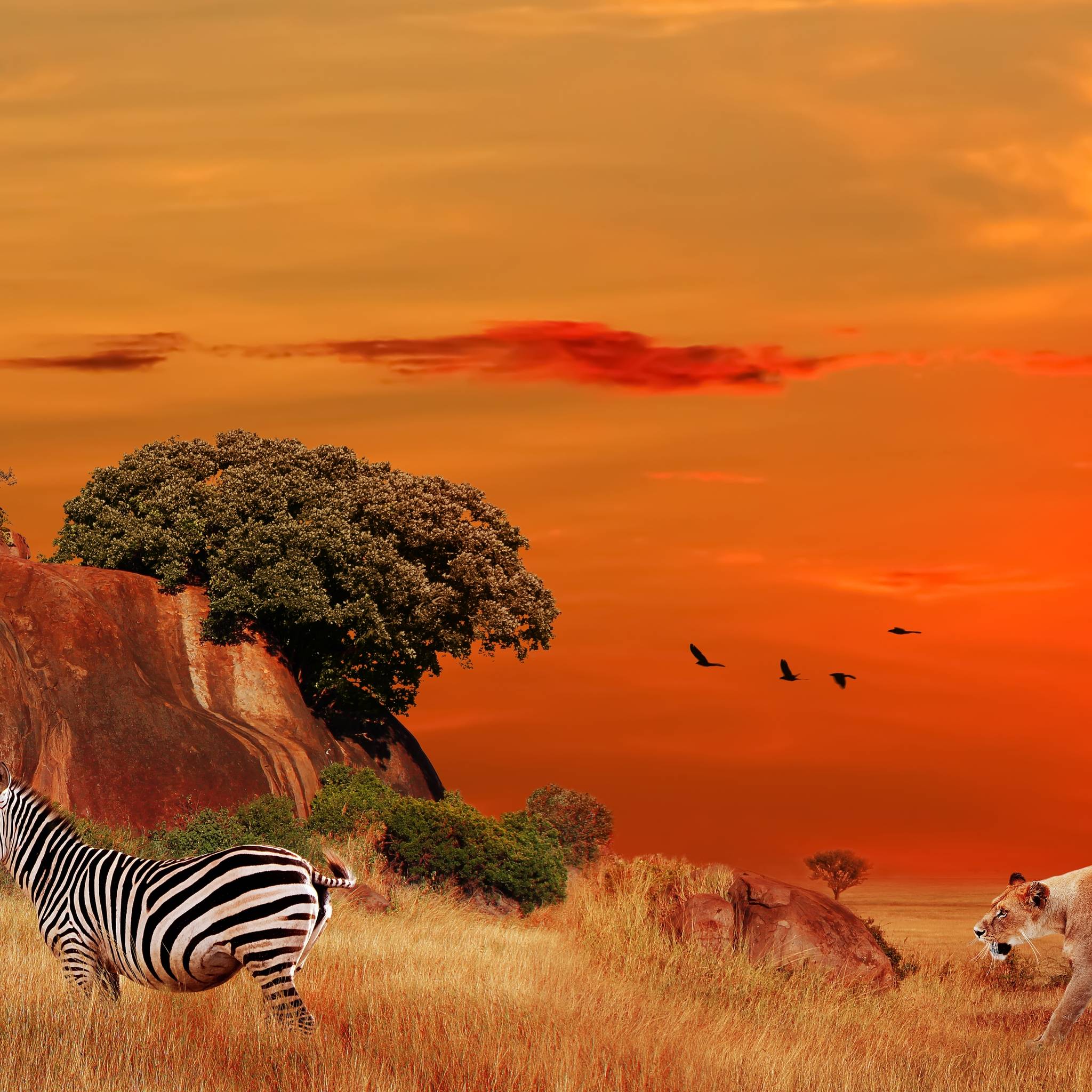 Avventura in Tanzania