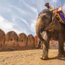 I colori del Rajasthan