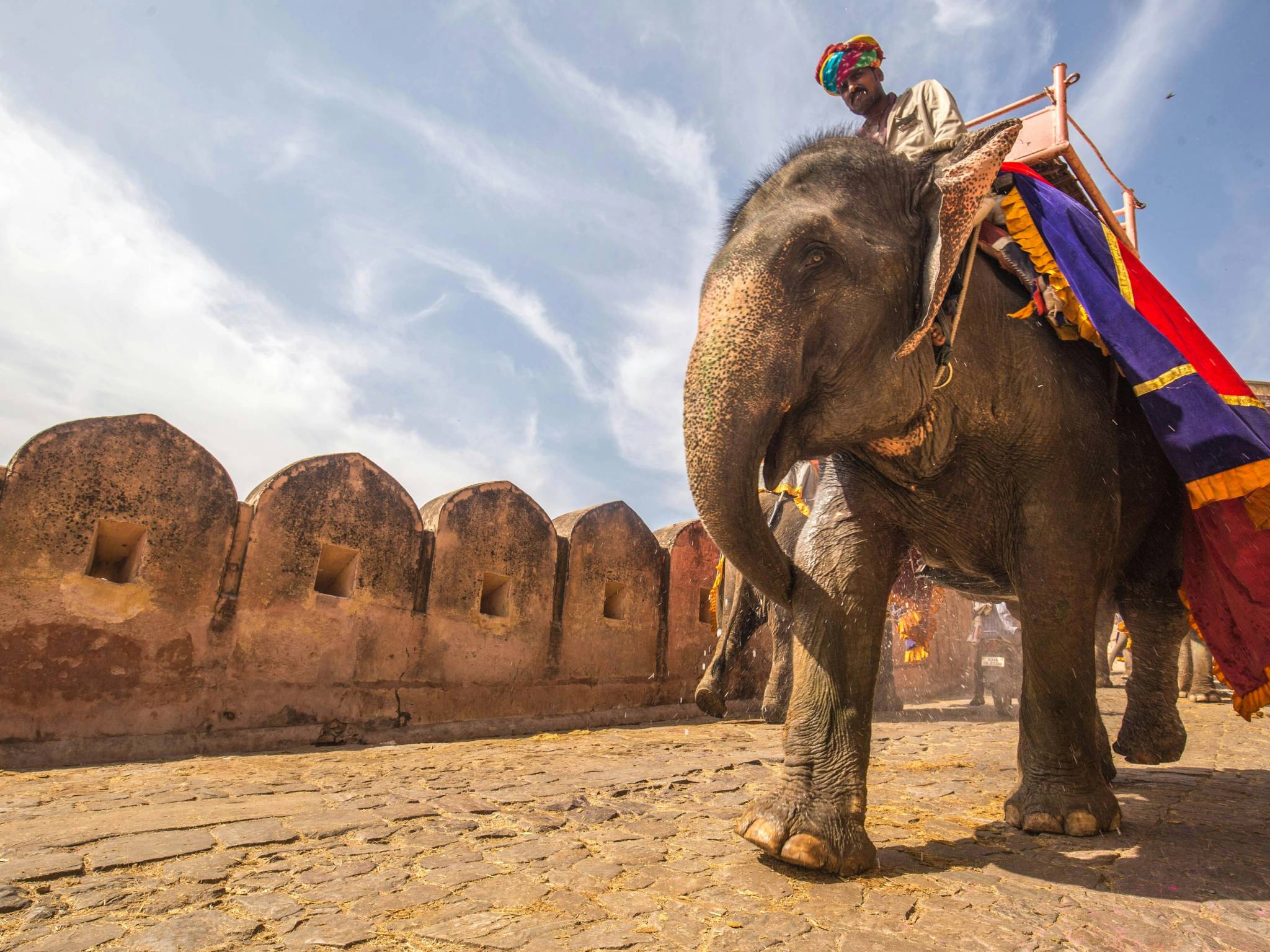 I colori del Rajasthan cover