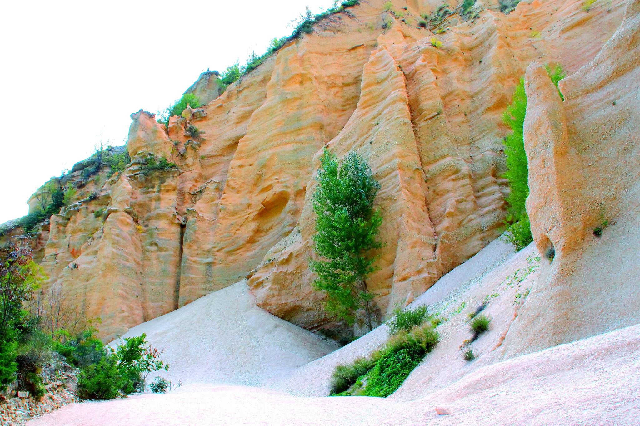 lame rosse marche
