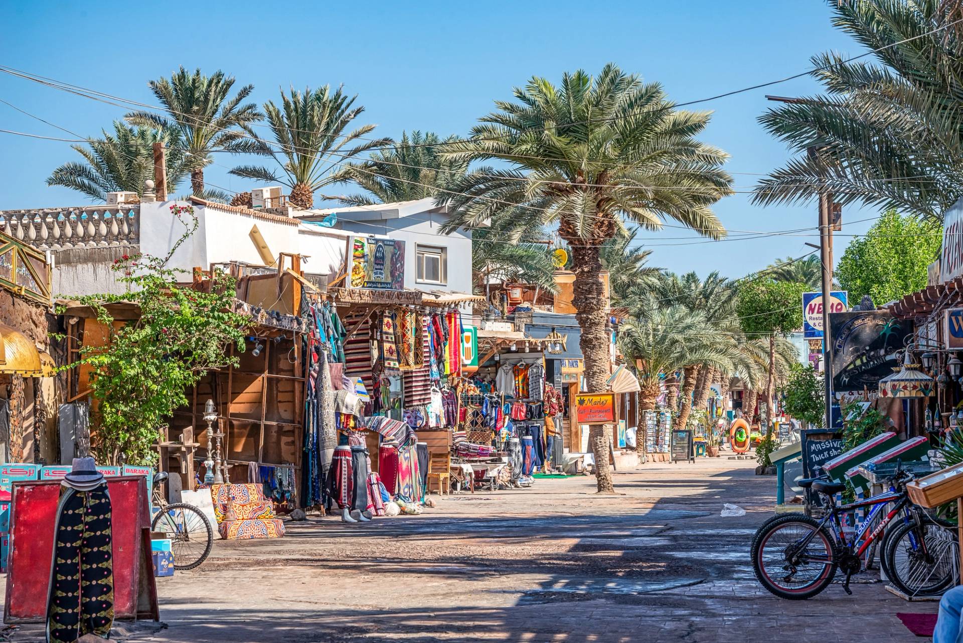 town market with palm trees