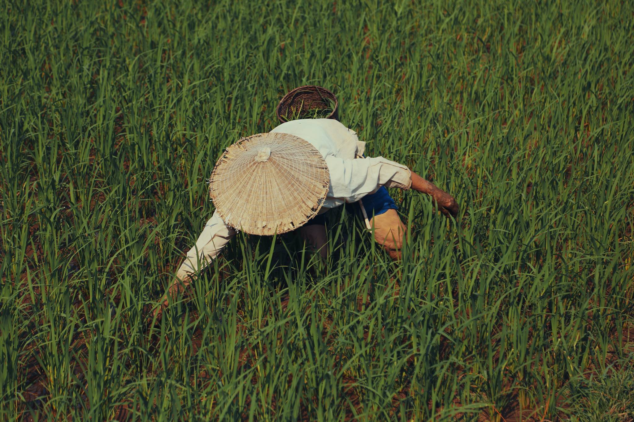 mai chau