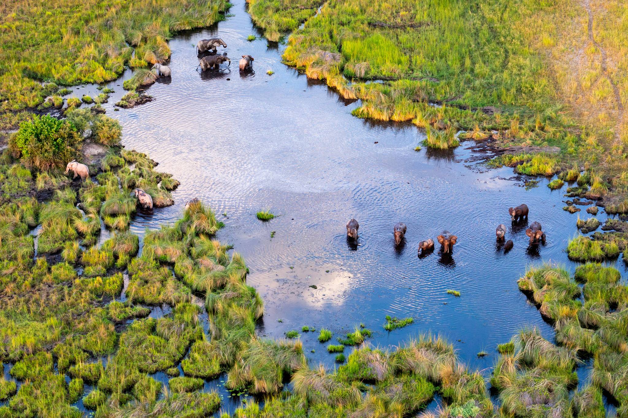 parco nazionale chobe