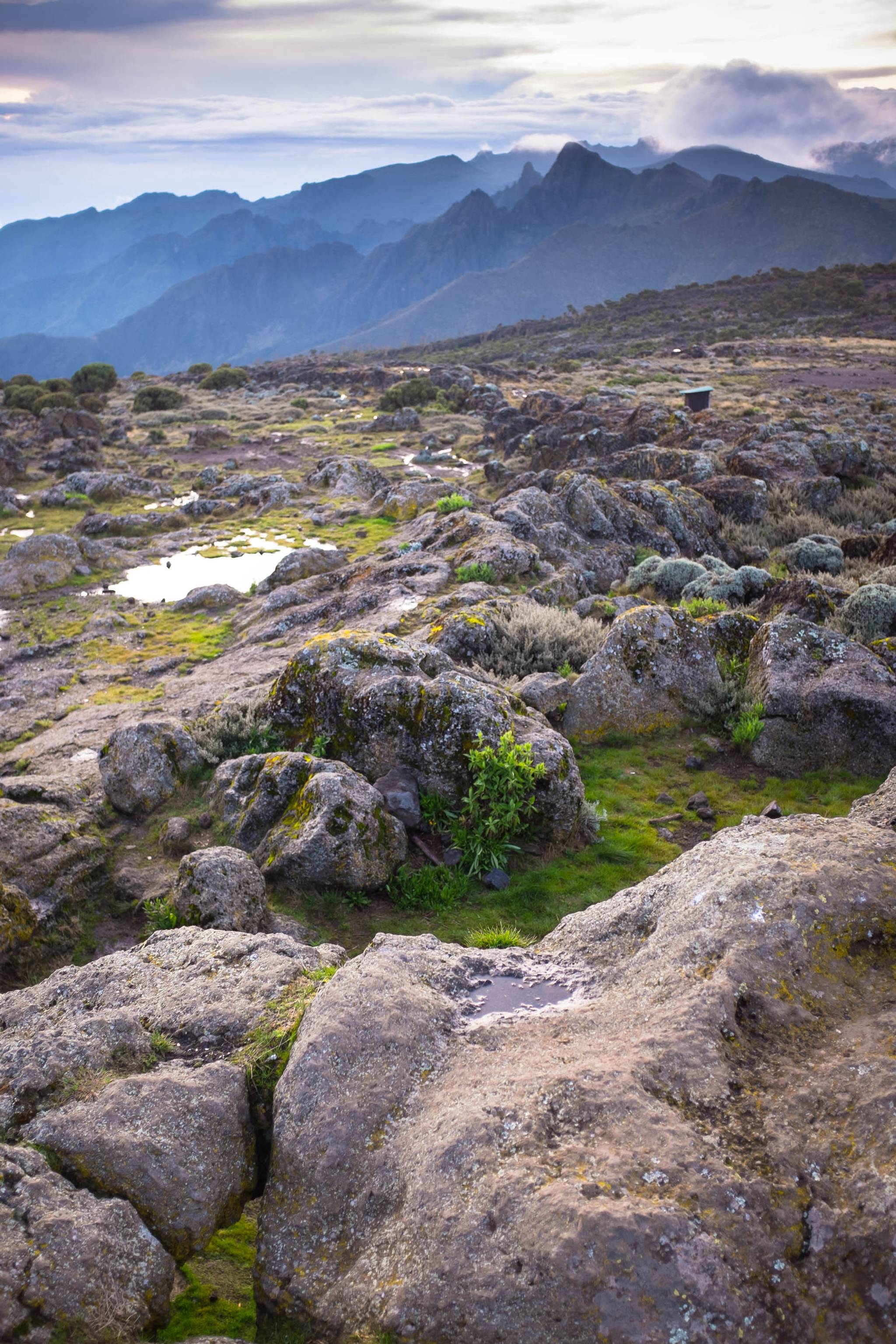 TARANGIRE NATIONAL PARK - ARUSHA - KILIMANJARO