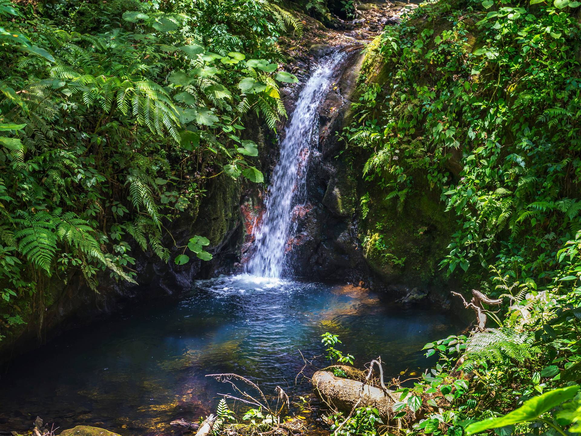 Tour of Guatemala and Costa Rica cover