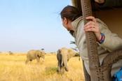 migliore tour safari in namibia