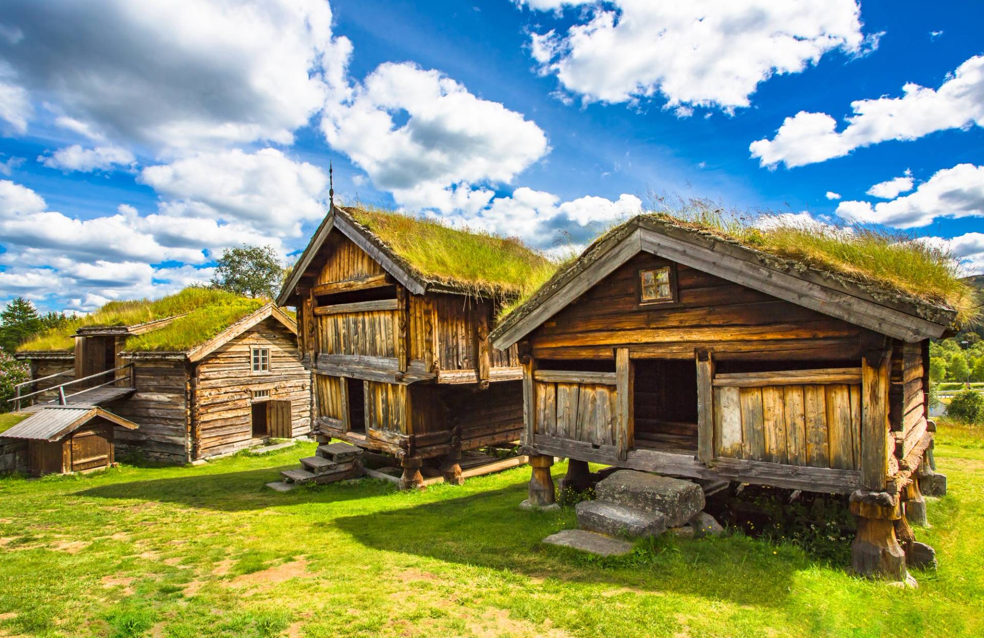 geilo case norvegesi