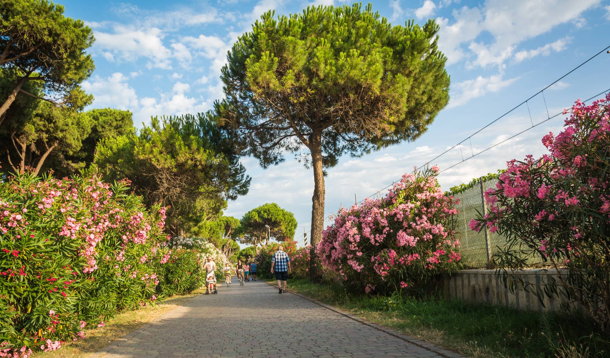 viale fiorito di roseto degli abruzzi