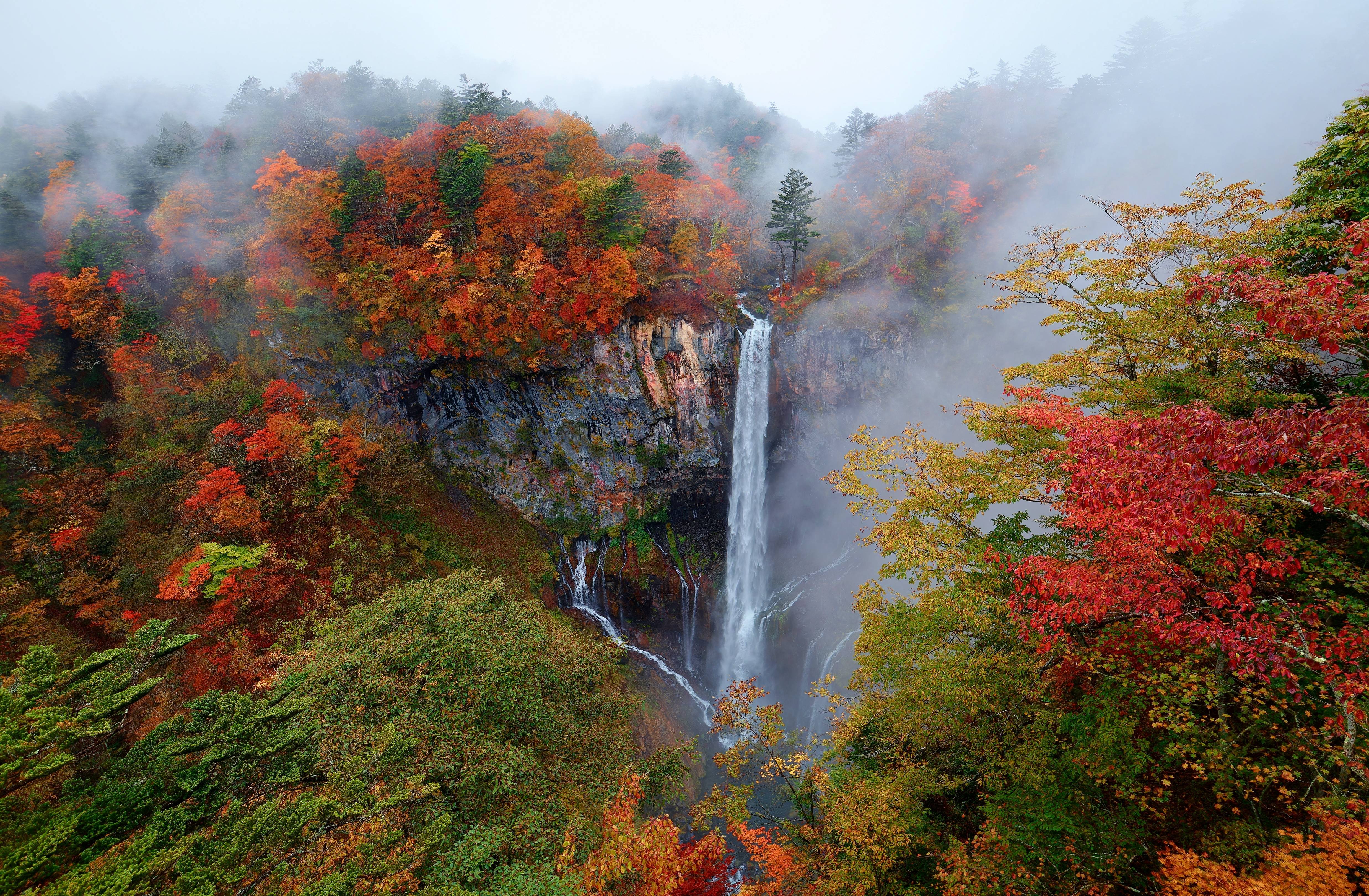 nikko