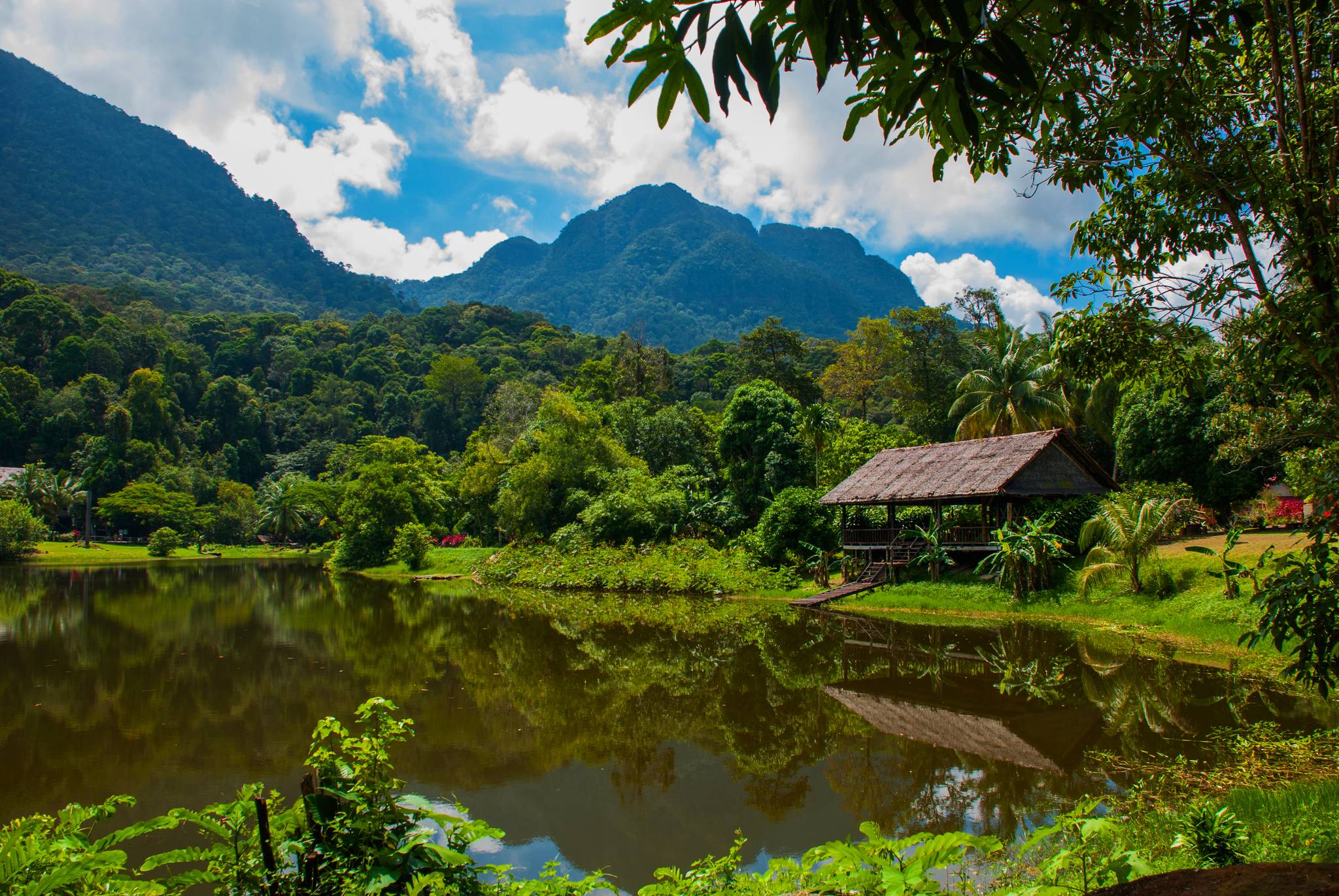 giungla di kuching 