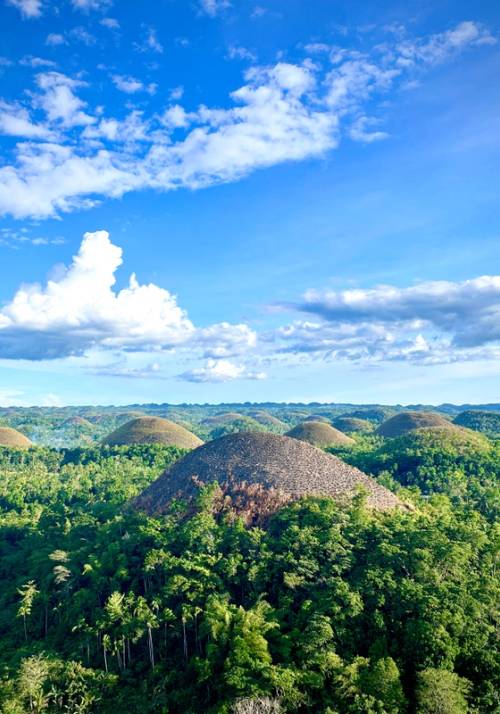 bohol