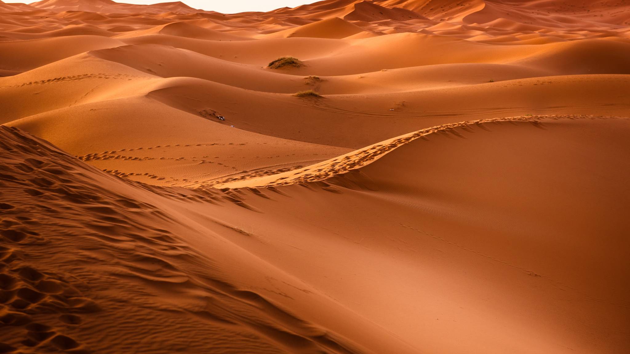 viaggi nel deserto