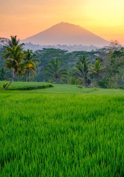 nature with mountain