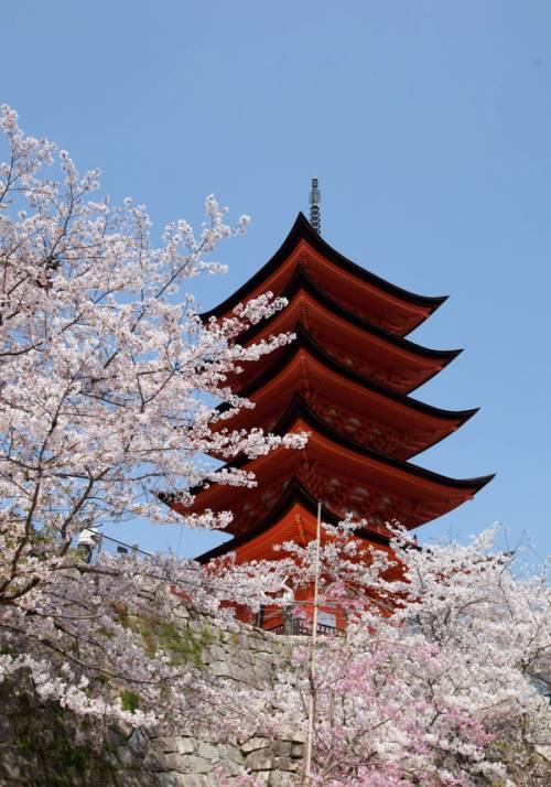 miyajima giappone