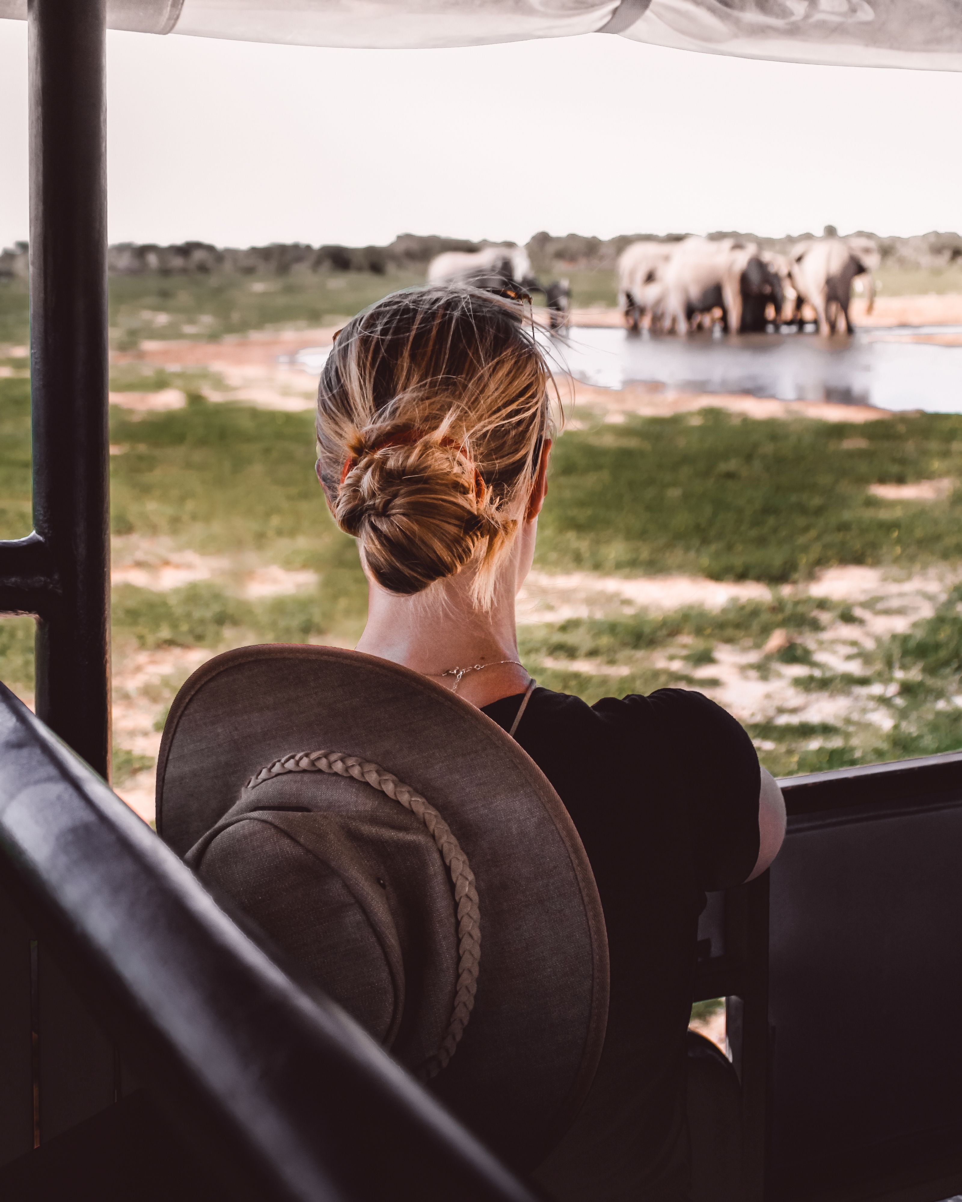 organized trip to Namibia