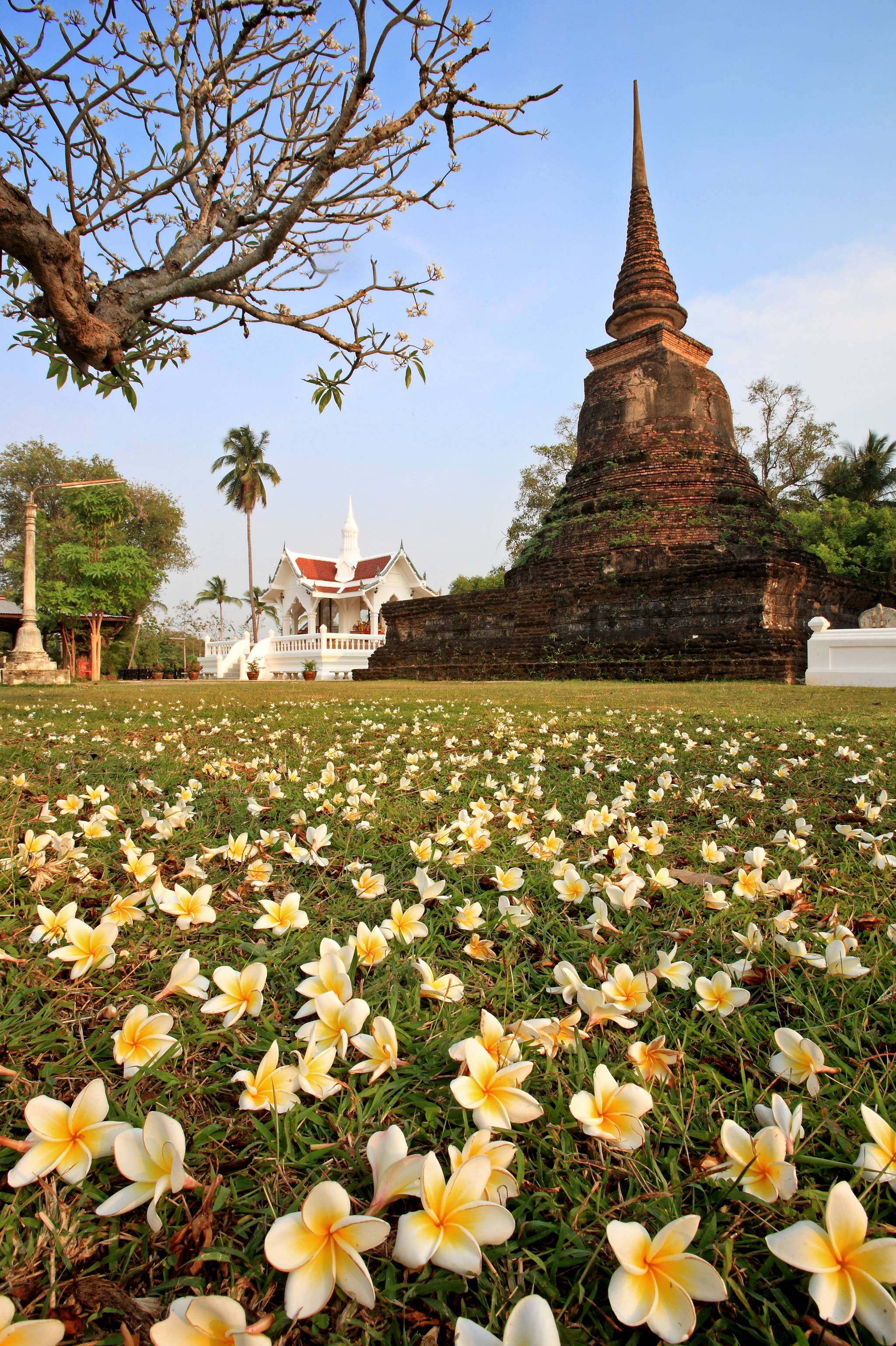 templio pagoda a sukhothai