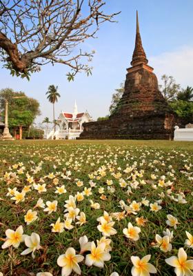 giardino fiorito sukhothai thailandia