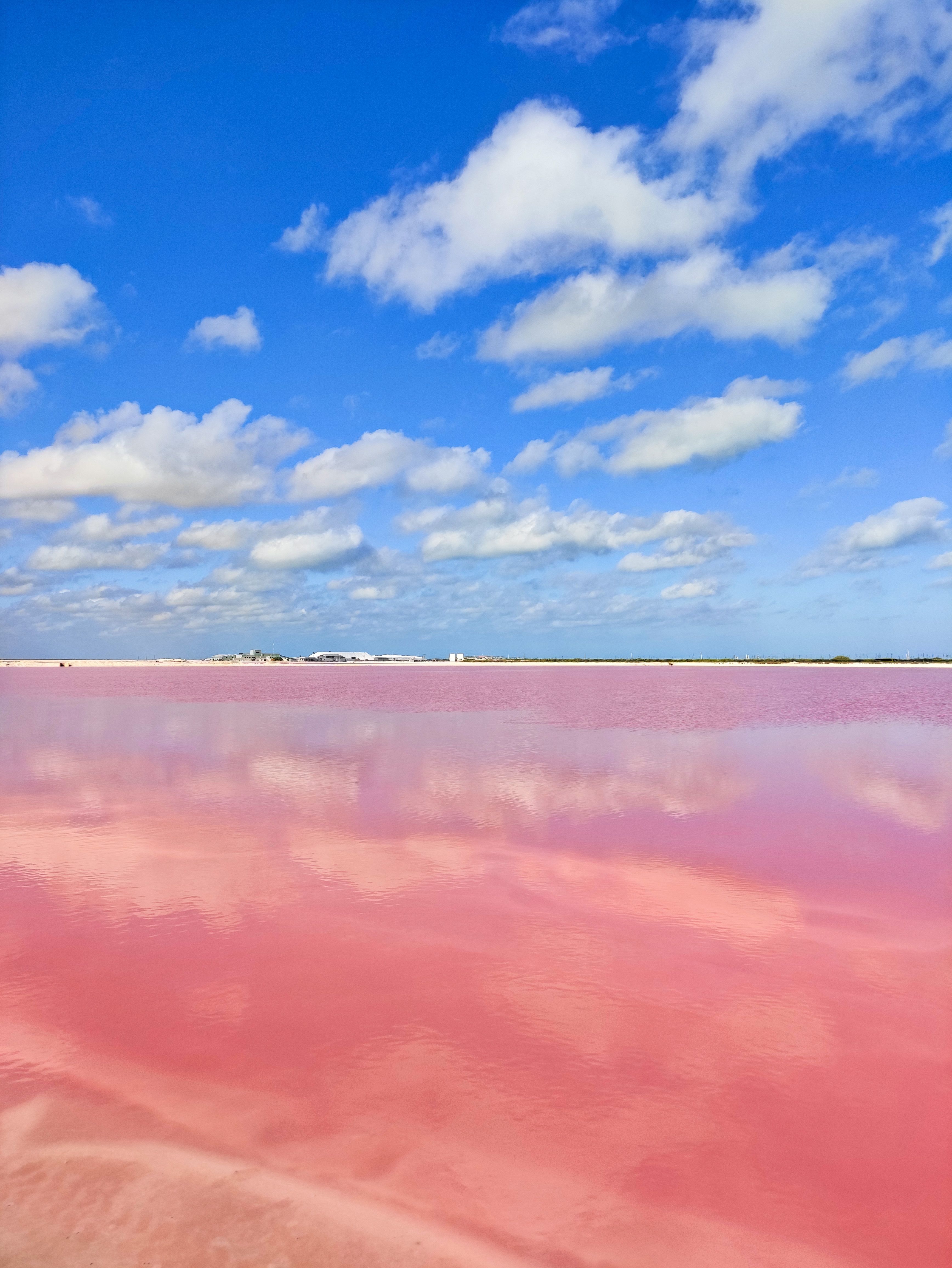 riserva naturale rio lagartos