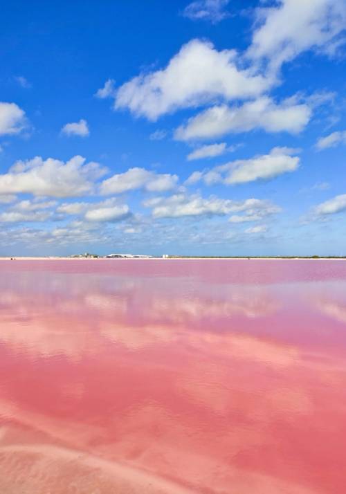 riserva naturale rio lagartos