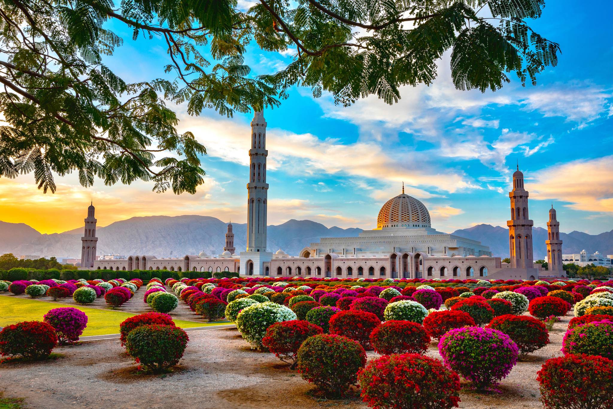 giardino della grande moschea a muscat in oman