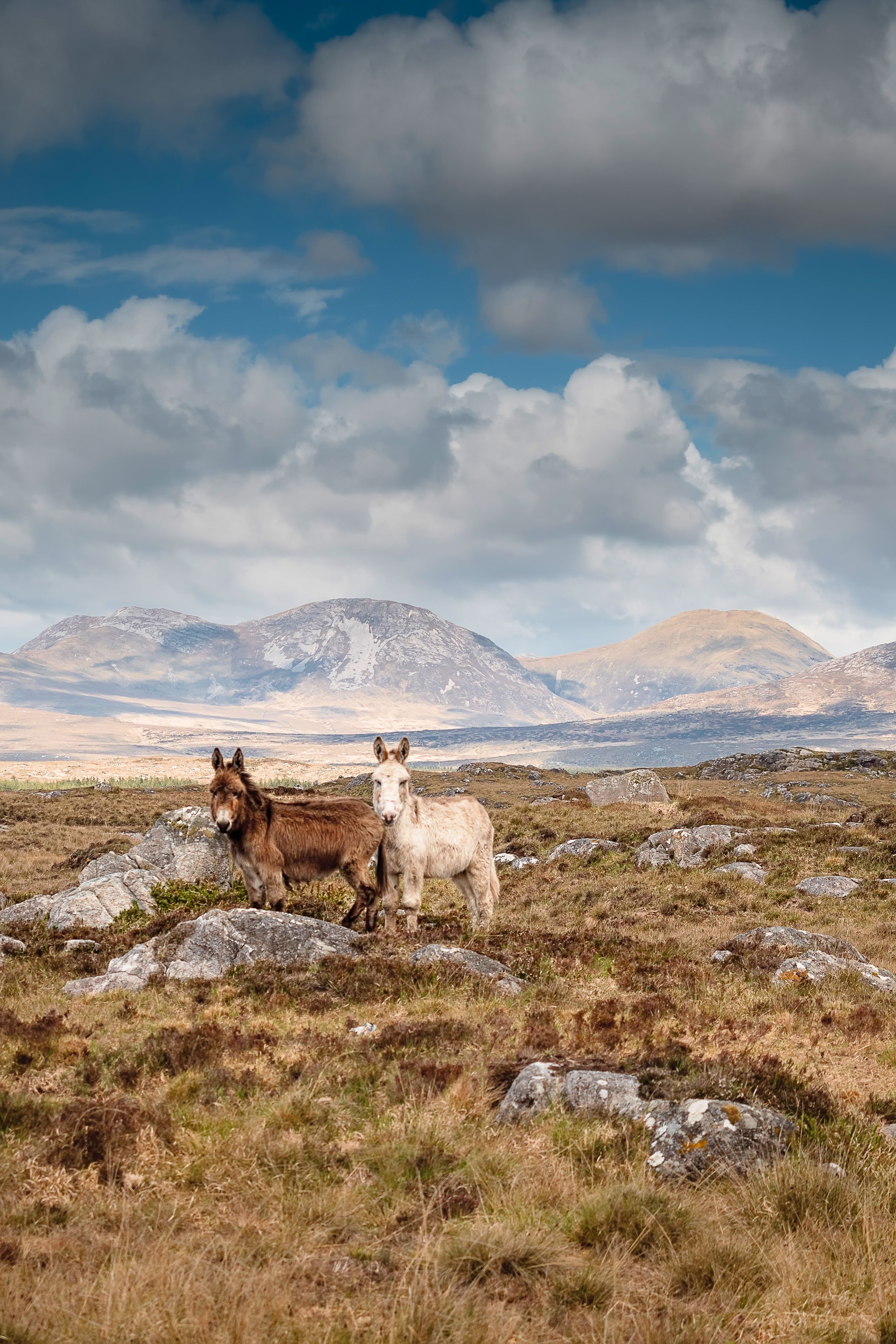connemara