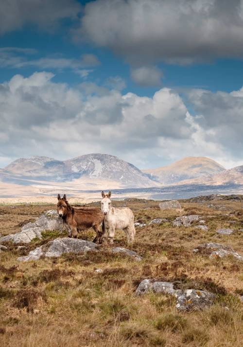connemara