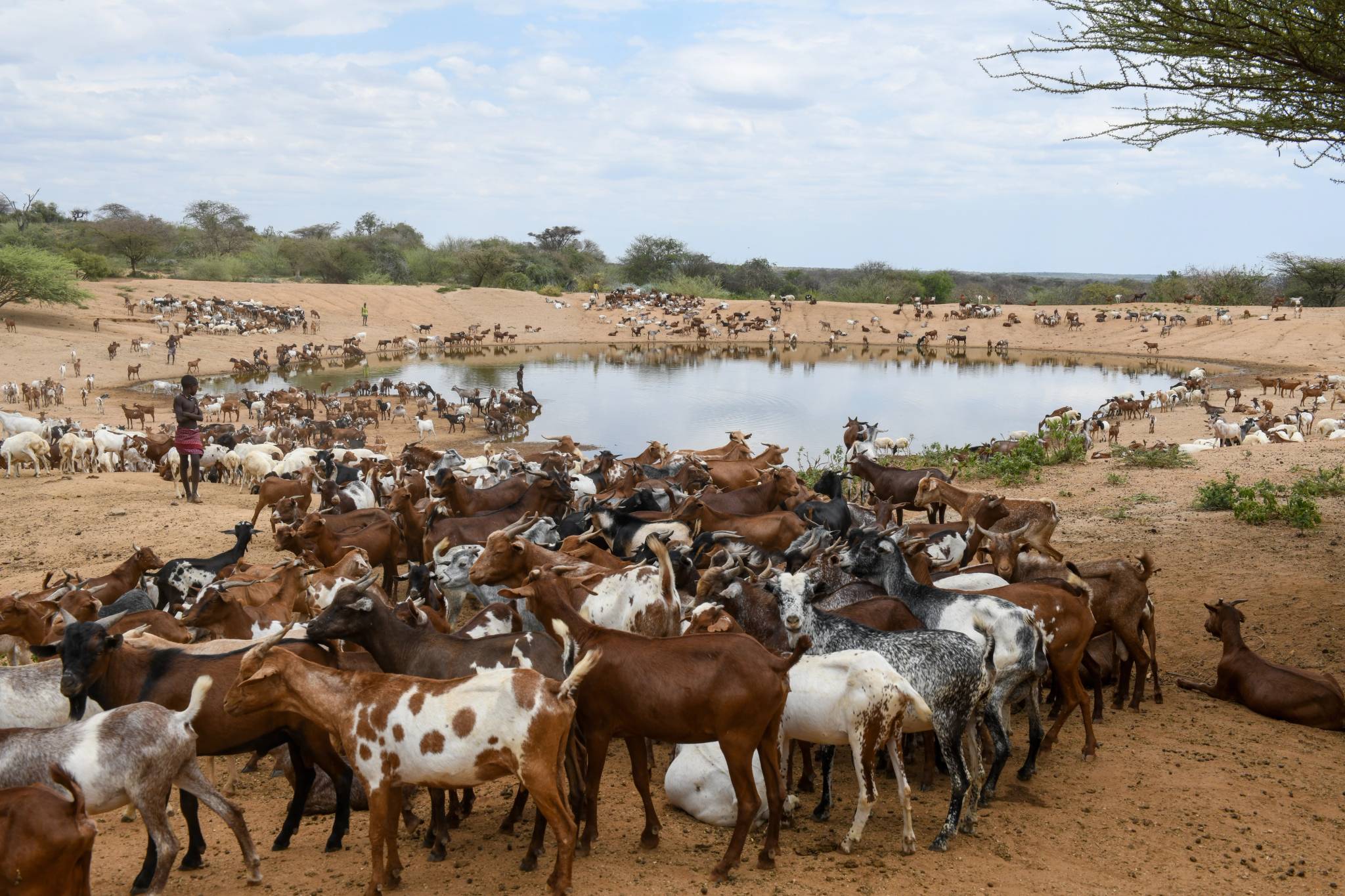 maze national park