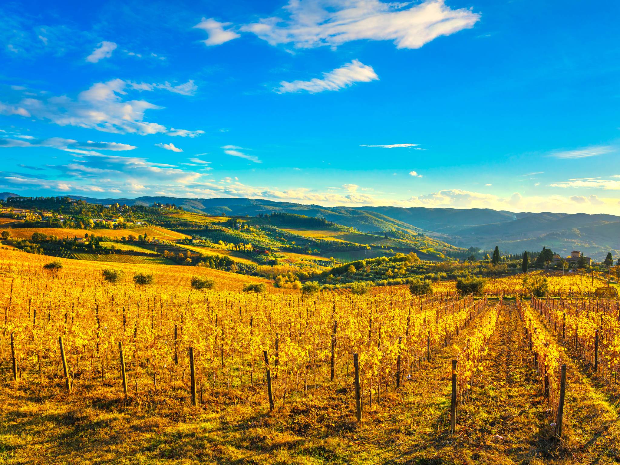 Tuscany's flavours tour cover