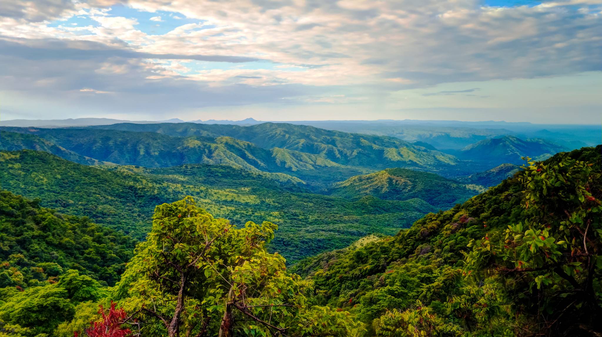 mago national park