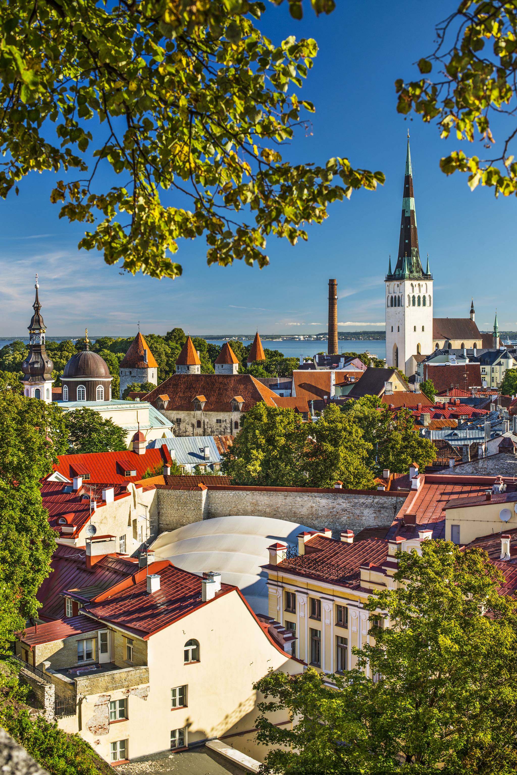 panorama di tallin