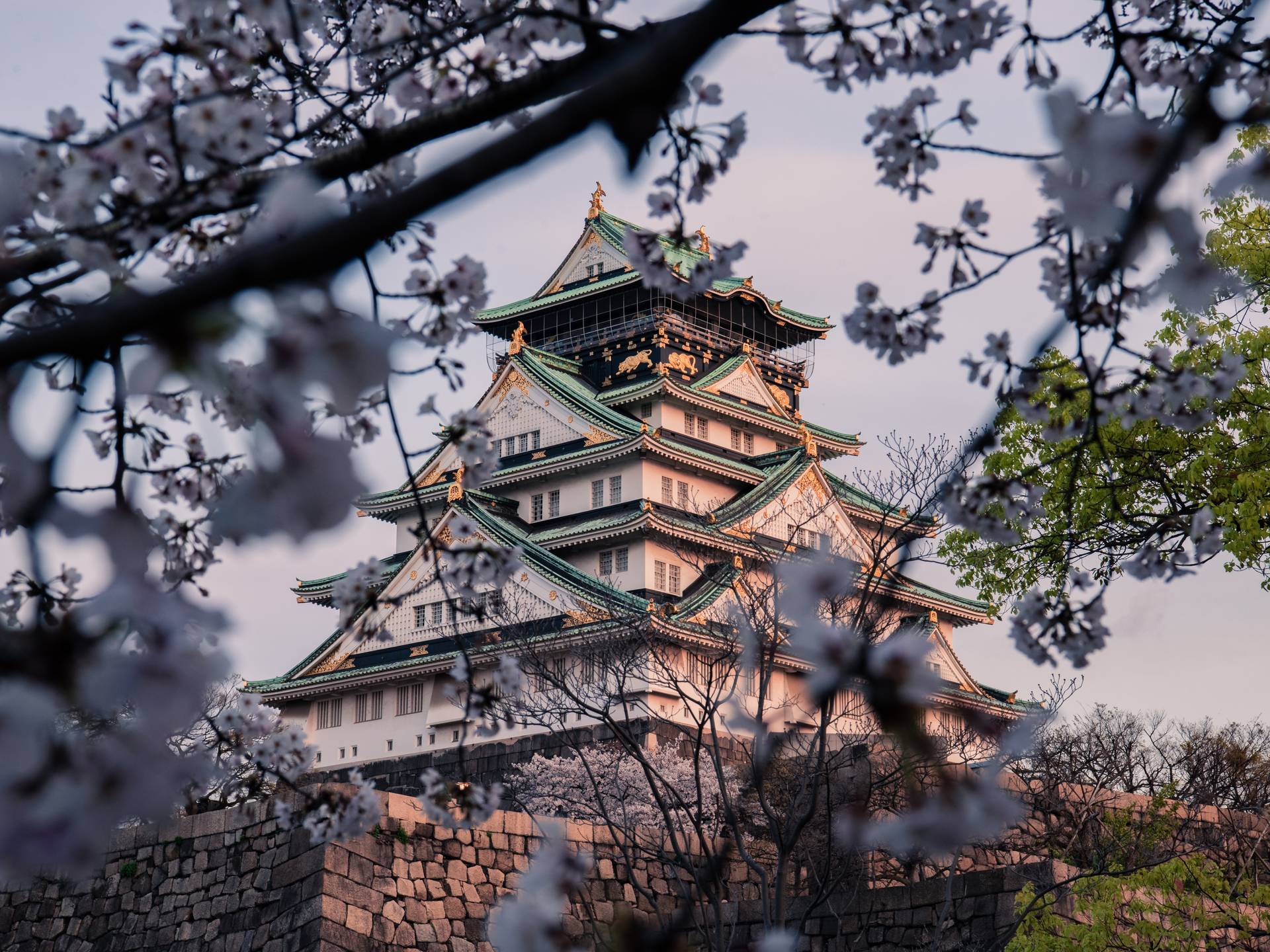Tour of the beautiful Japan cover