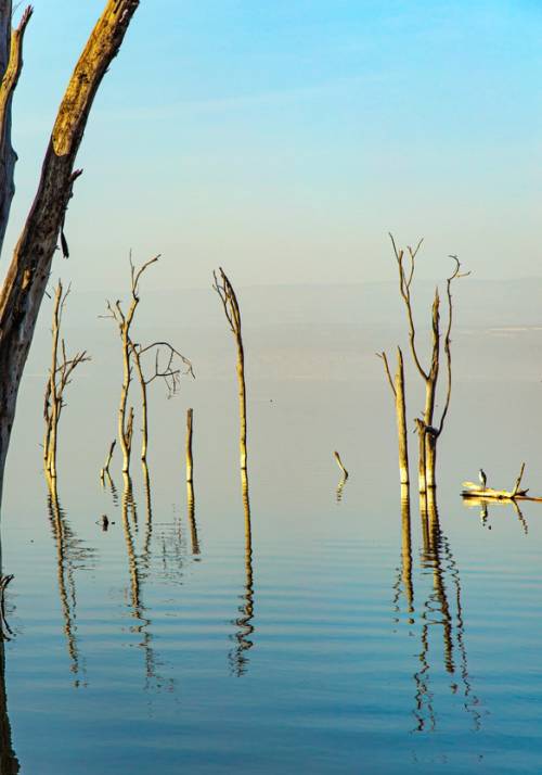 bastoni riflessi nel lago