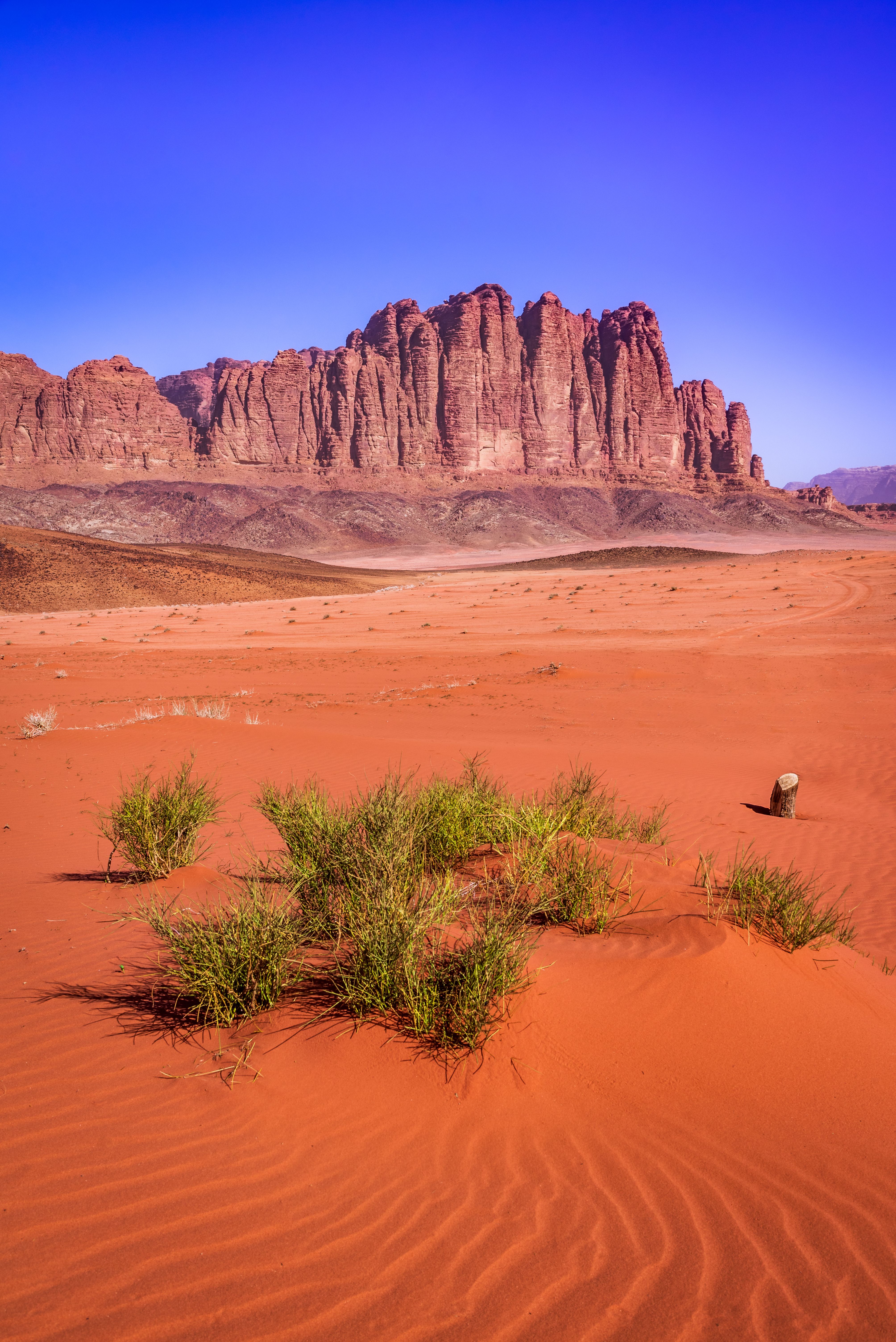deserto del wadi rum